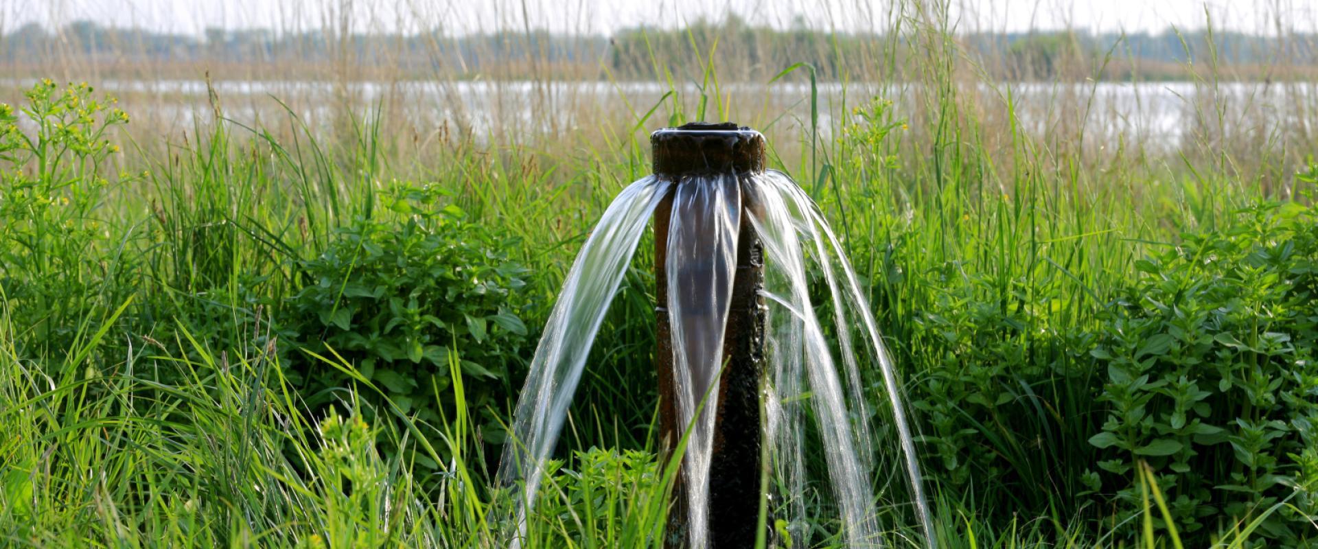 Source d'eau dans une prairie de la steppe