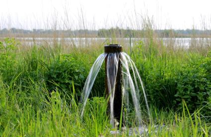 Source d'eau dans une prairie de la steppe